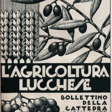 Bollettino della Cattedra Ambulante di Agricoltura - anno 1935